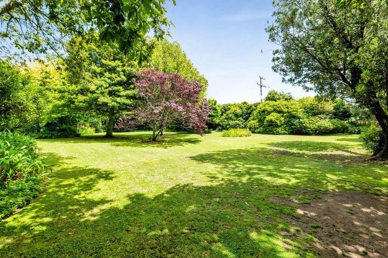 Photo of property in 37 Flint Road West, Stratford, 4332