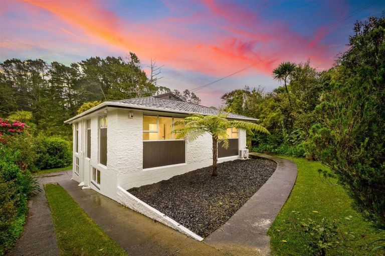 Photo of property in 53 Pine Avenue, Henderson, Auckland, 0612