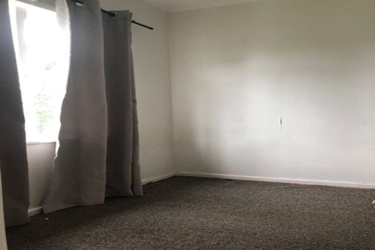 Photo of property in 1009 Manuka Street, Mahora, Hastings, 4120