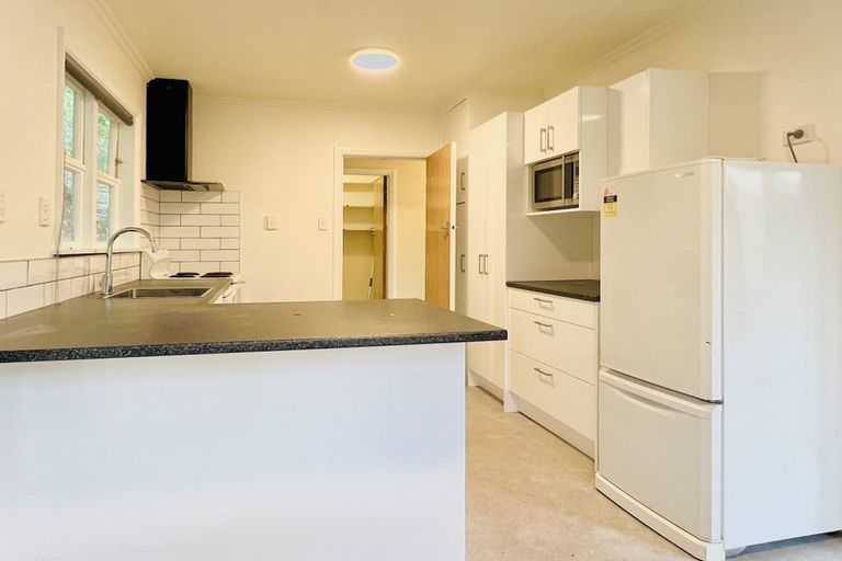 Photo of property in 50 Randwick Road, Northland, Wellington, 6012