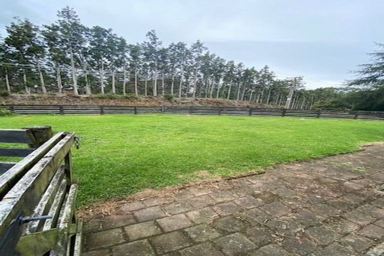 Photo of property in 374 Youngson Road, Whakamarama, Tauranga, 3179