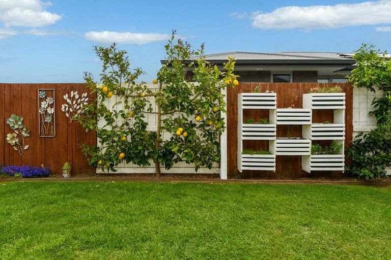 Photo of property in 230 Ballintoy Park Drive, Welcome Bay, Tauranga, 3175