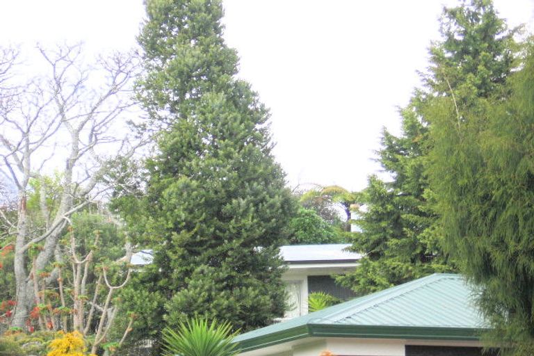 Photo of property in 28 Jonathon Street, Brookfield, Tauranga, 3110