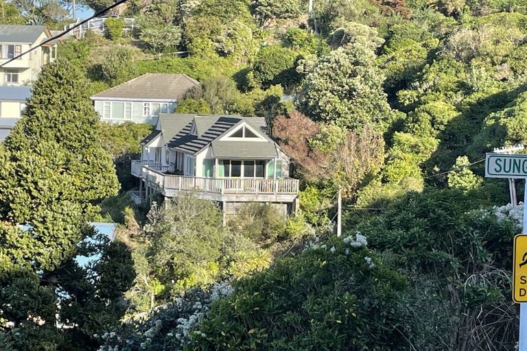 Photo of property in 51 Hornsey Road, Melrose, Wellington, 6023