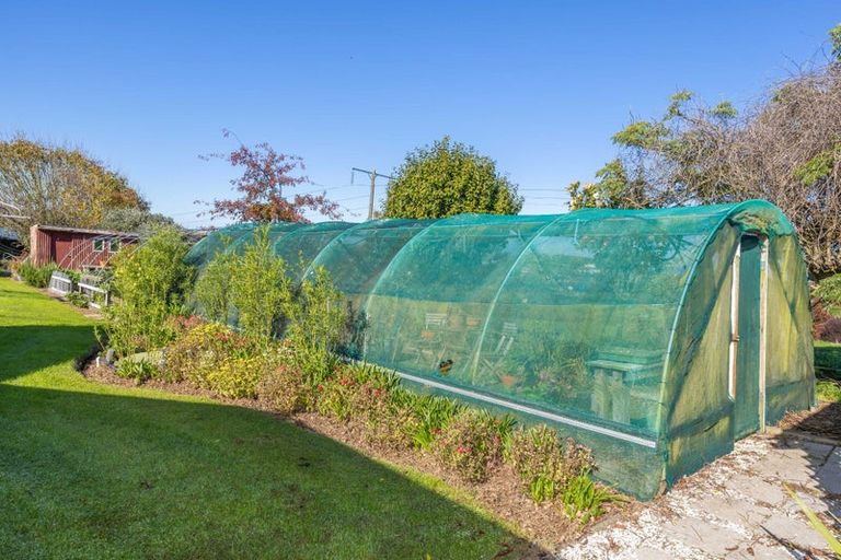 Photo of property in 916 Bond Road, Te Awamutu, 3879