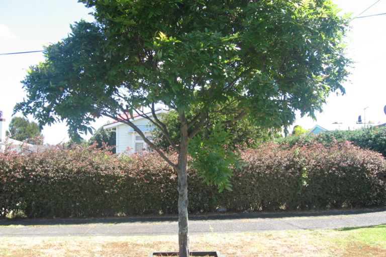 Photo of property in 6 Curzon Street, Onehunga, Auckland, 1061