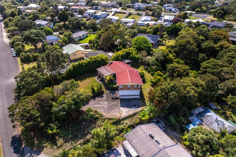 Photo of property in 20 East Street, Raglan, 3225
