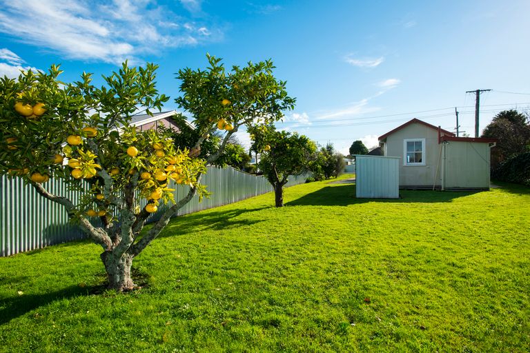 Photo of property in 19 Poplar Street, Mangapapa, Gisborne, 4010