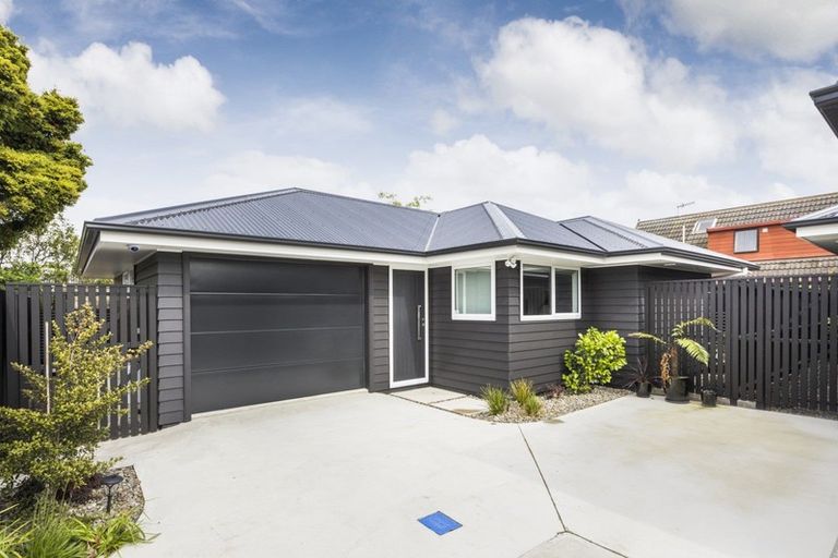 Photo of property in 17c Alfred Street, Roslyn, Palmerston North, 4414