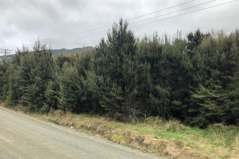 Photo of property in 65 Tinline Terrace, Lyford, Waiau, 7395