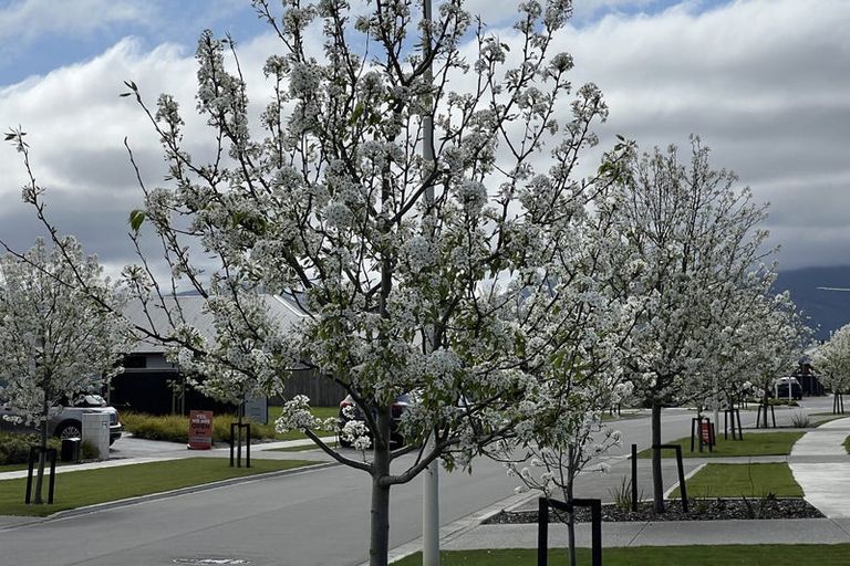 Photo of property in 26 Whitehall Drive, Springlands, Blenheim, 7201