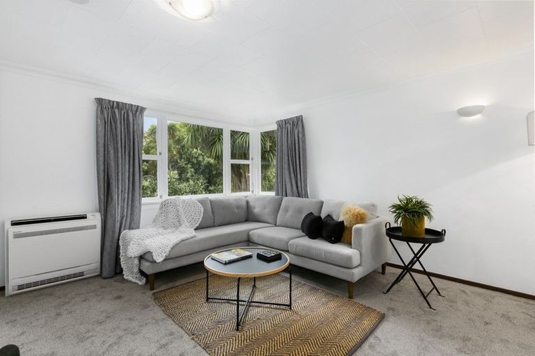 Photo of property in 49 Pacific Street, Roslyn, Dunedin, 9010