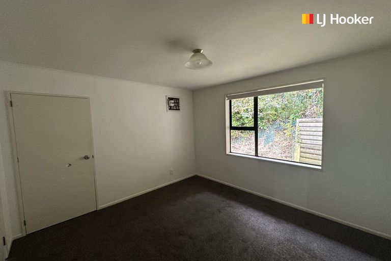 Photo of property in 3 Ballance Street, Caversham, Dunedin, 9011