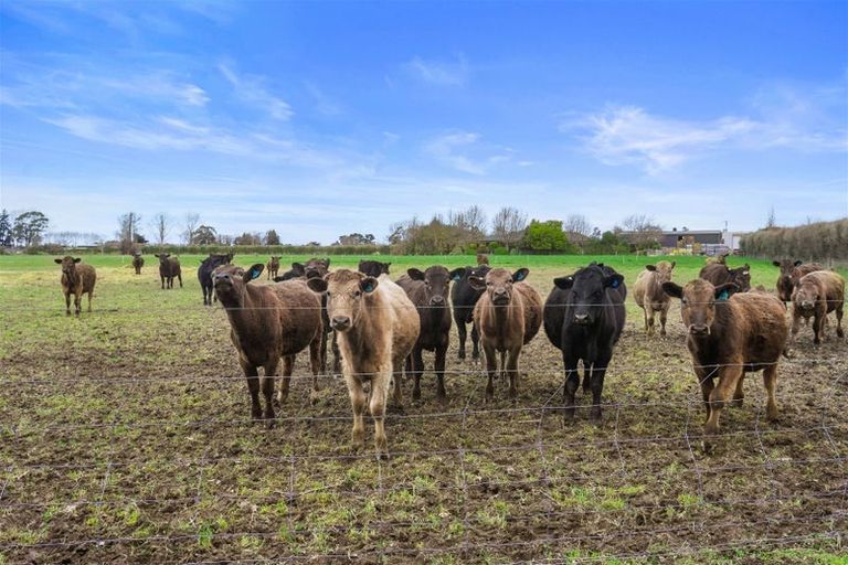 Photo of property in 58 Mill Road, Clarkville, Kaiapoi, 7692