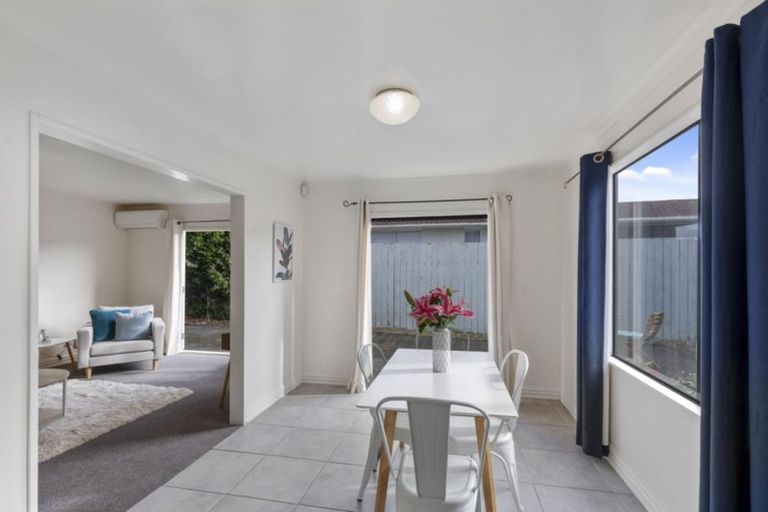 Photo of property in 44a Copeland Street, Hutt Central, Lower Hutt, 5011