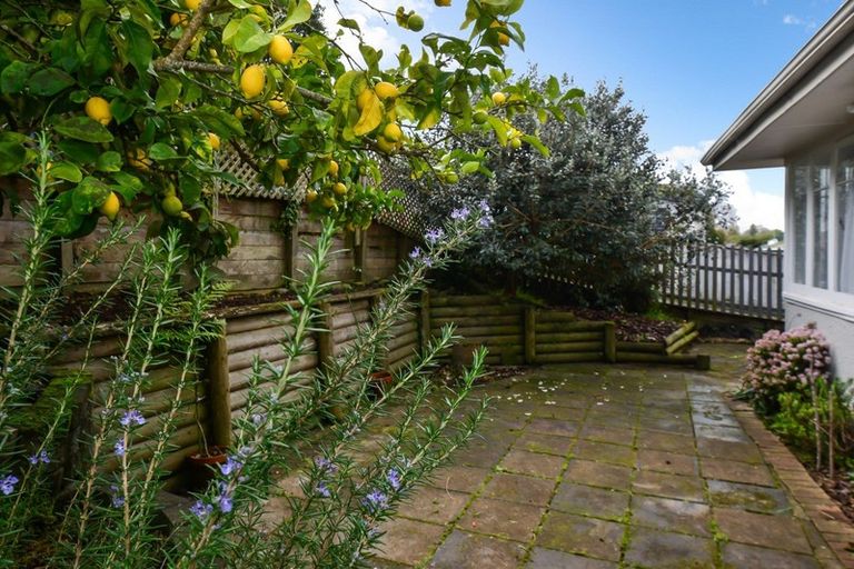 Photo of property in 34 Gibson Road, Dinsdale, Hamilton, 3204