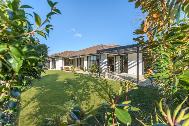 Photo of property in 43 Bellbird Rise, Pyes Pa, Tauranga, 3112