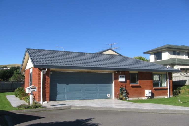 Photo of property in 3 Ring Lane, Paparangi, Wellington, 6037
