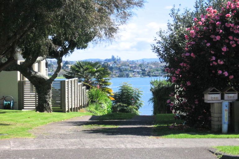 Photo of property in 288 Maungatapu Road, Maungatapu, Tauranga, 3112