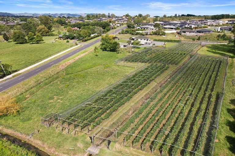 Photo of property in 126 Travers Road, Te Kauwhata, 3782