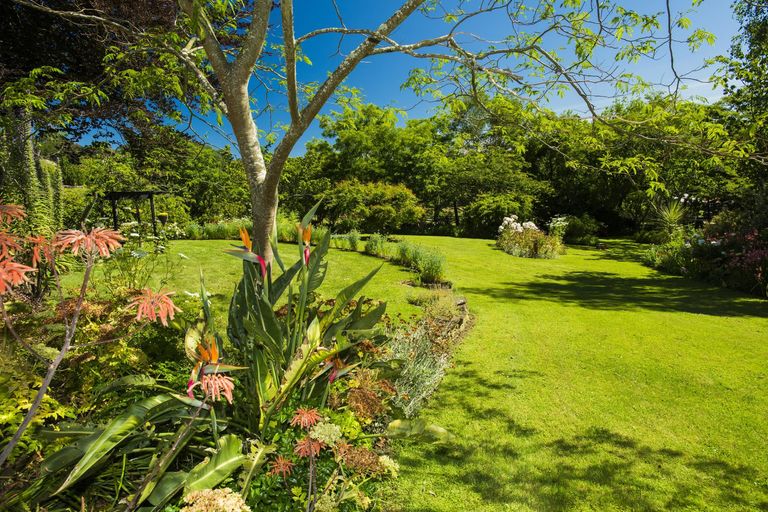 Photo of property in 113 Darwin Road, Outer Kaiti, Gisborne, 4010