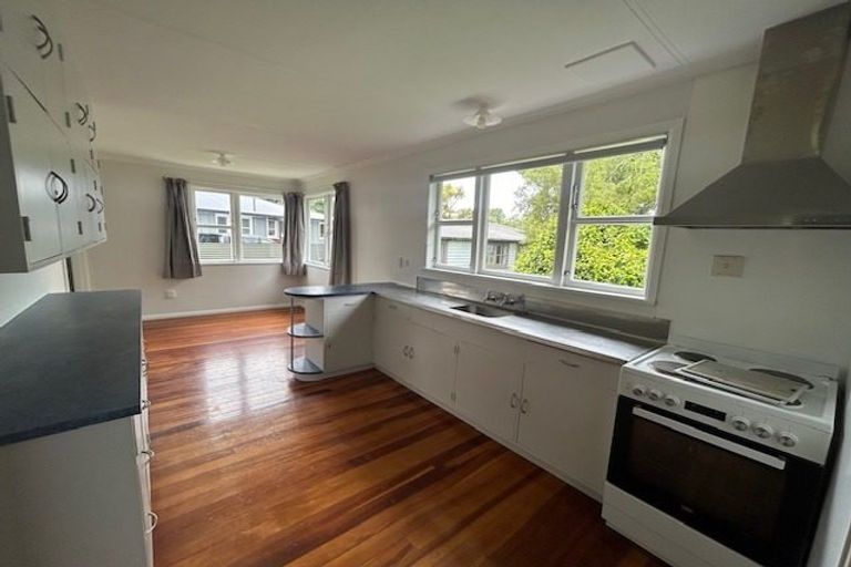 Photo of property in 14 Conway Place, Terrace End, Palmerston North, 4410