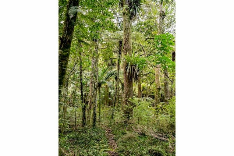 Photo of property in 73 Weka Lane, Okaihau, 0475