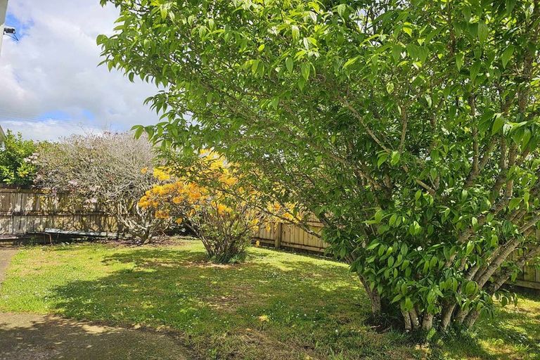 Photo of property in 6 Kiwi Street, Te Kuiti, 3910