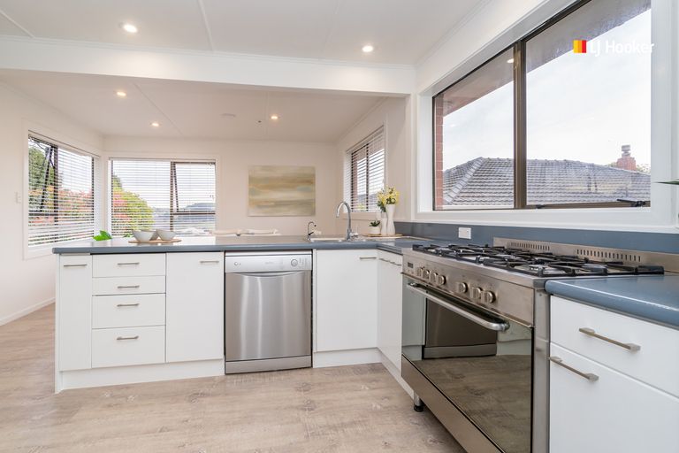 Photo of property in 19 Koremata Street, Green Island, Dunedin, 9018