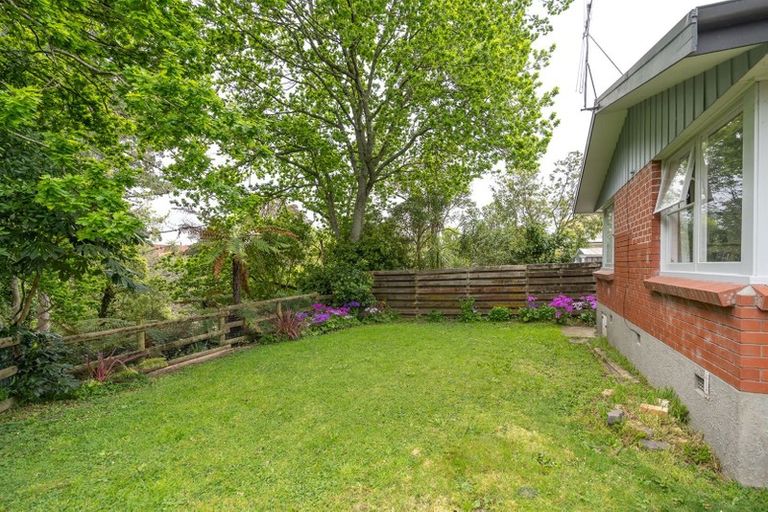 Photo of property in 19 Eton Drive, Hillcrest, Hamilton, 3216