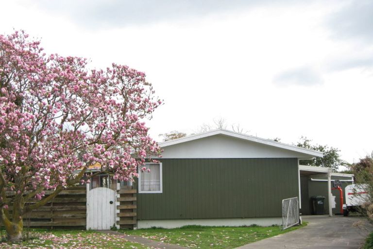 Photo of property in 10 Valerie Street, Clive, 4102