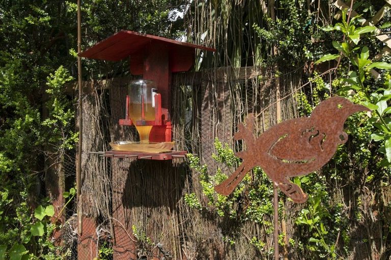 Photo of property in 220 Ohauiti Road, Ohauiti, Tauranga, 3112