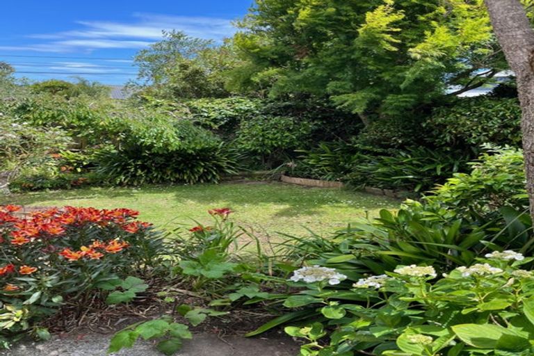 Photo of property in 1/6 Keys Street, Belmont, Auckland, 0622