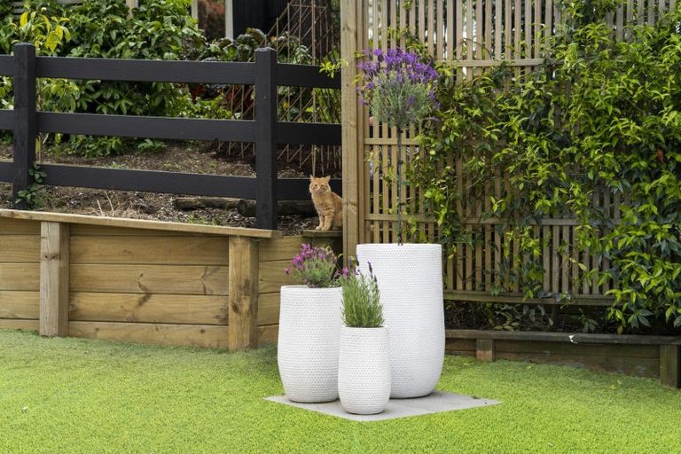 Photo of property in 24a River View Road, Morrinsville, 3300