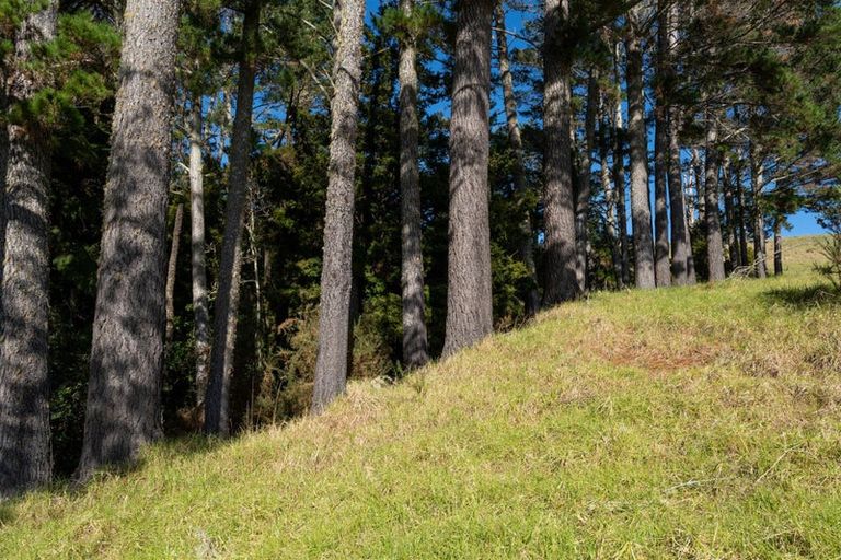 Photo of property in 55a Toots Drive, Kawakawa, 0282