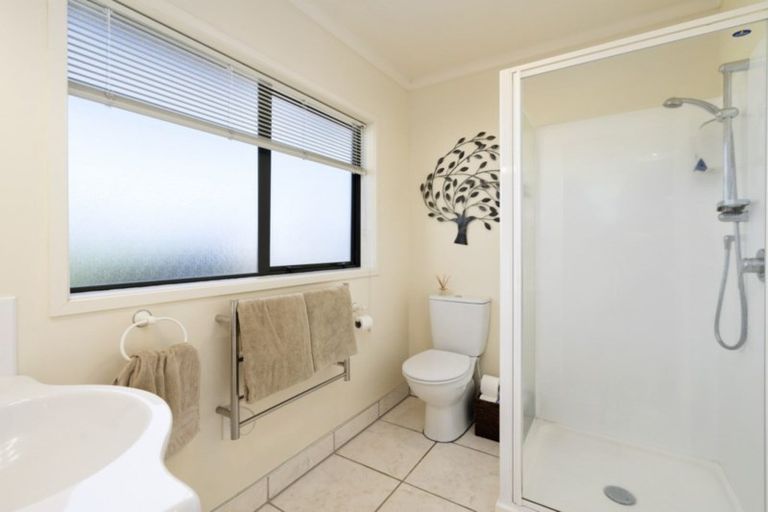 Photo of property in 17 Bouvardia Avenue, Milson, Palmerston North, 4414