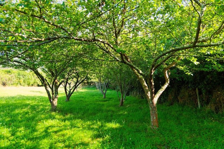 Photo of property in 759 Mount Fyffe Road, Kaikoura Flat, Kaikoura, 7371