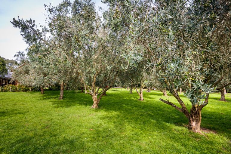 Photo of property in 220 Valley Views, Fitzherbert, Palmerston North, 4472