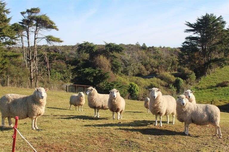 Photo of property in 1000 Wilsons Lead Road, Cape Foulwind, Westport, 7892