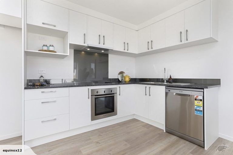 Photo of property in 47 Joseph Street, Flat Bush, Auckland, 2019