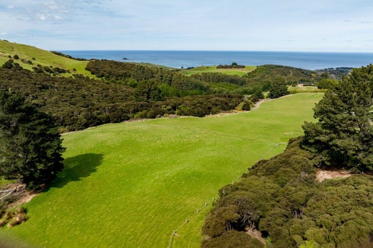 Photo of property in 351 Saddle Hill Road, Scroggs Hill, Dunedin, 9076