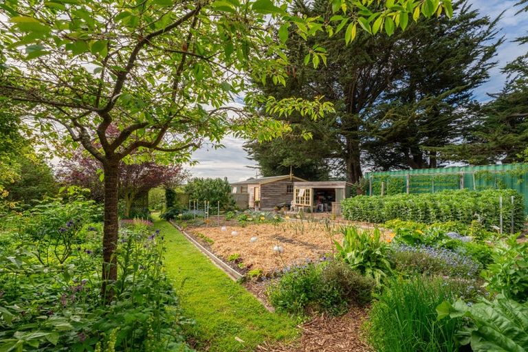 Photo of property in 56 Burgess Road, Herbert, Oamaru, 9495