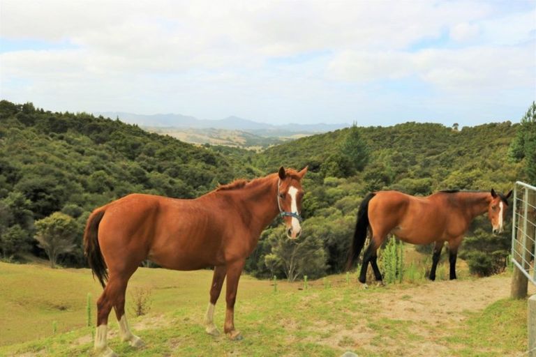 Photo of property in 451 Lusk Road, Ruawai, Matakohe, 0594