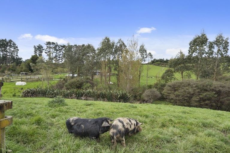 Photo of property in 3207 State Highway 23, Raglan, 3295