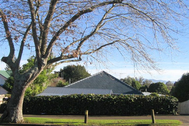 Photo of property in 116 Forest Lake Road, Forest Lake, Hamilton, 3200