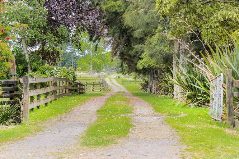 Photo of property in 7 Spedding Road, Whenuapai, Auckland, 0618