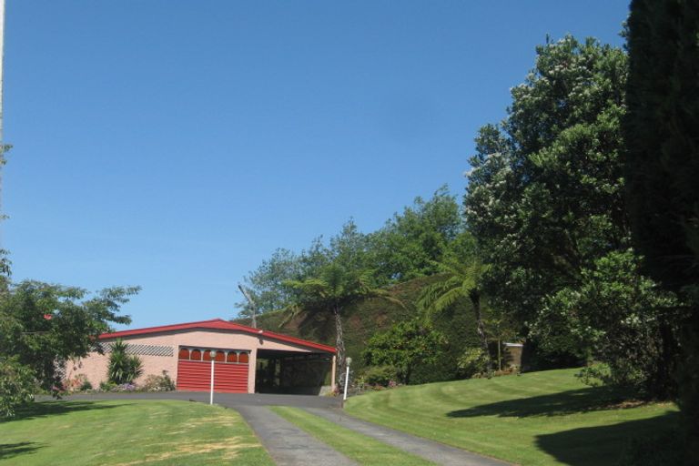 Photo of property in 331 Youngson Road, Whakamarama, Tauranga, 3179