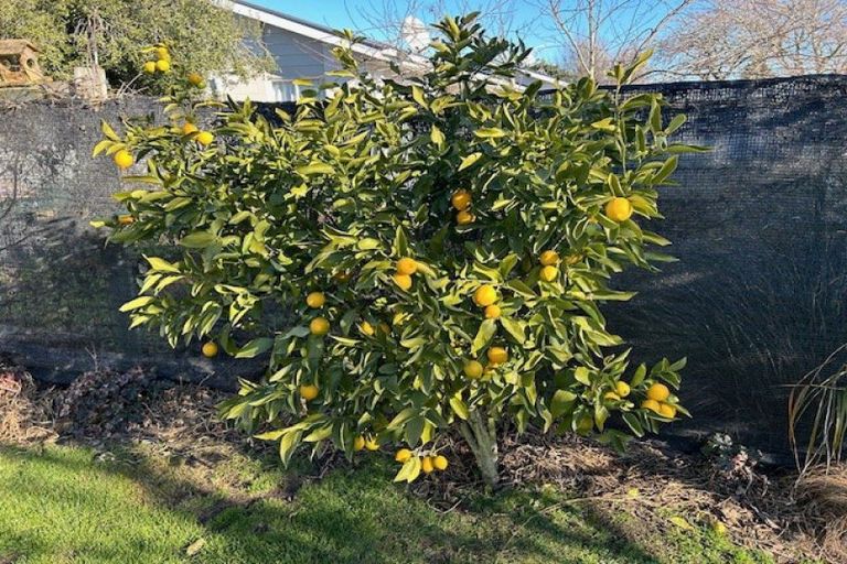 Photo of property in 22 Beach Road, Hampstead, Ashburton, 7700