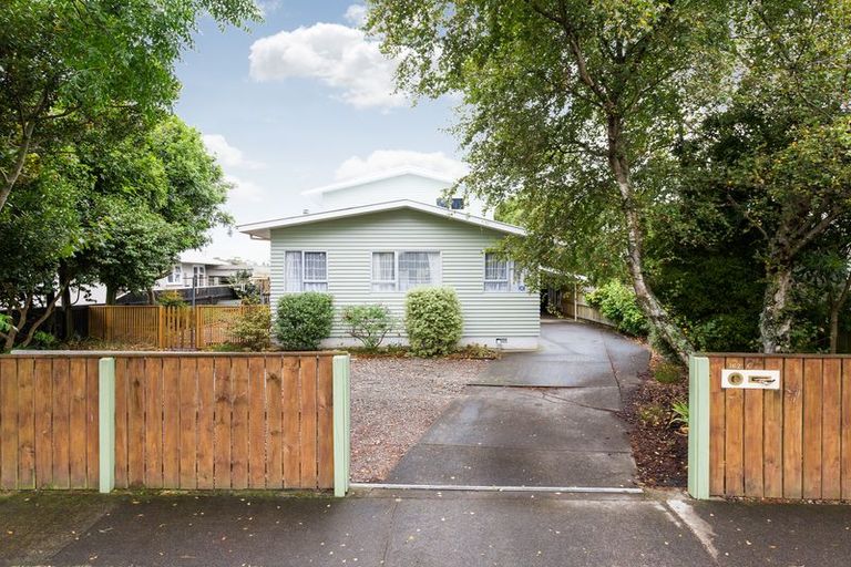 Photo of property in 162 Limbrick Street, Terrace End, Palmerston North, 4410