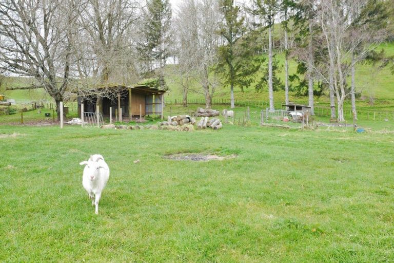 Photo of property in 223 Yankee Road, Rerewhakaaitu, Rotorua, 3073